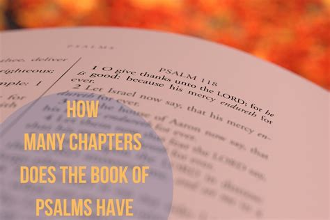 How Many Chapters Do Books Usually Have? A Diverse Exploration