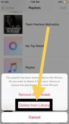 how to delete a playlist on apple music and explore the nuances of digital music curation