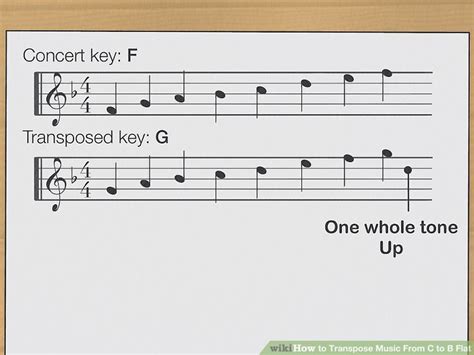 Transpose Definition Music: A Multi-Layered Exploration